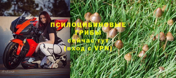 индика Абдулино